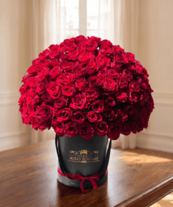 Bouquet 100 Roses Rouges