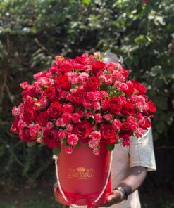 Extraordinary Bloom (Box Rouge)