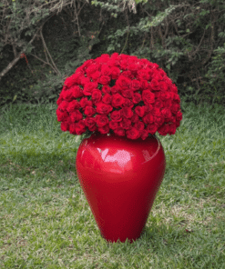 Ma Valentine