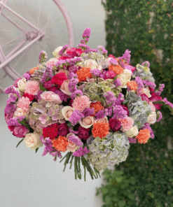 Hortensias Beauty
