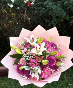 Fresh pink blooms